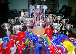 Awards, Prizes, Cups and Trophies